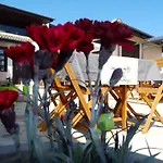 Villa Topola