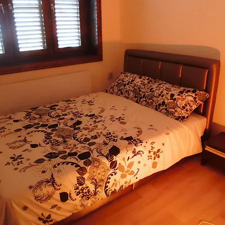 Pensiune Villa Topola