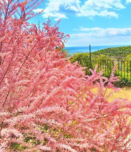 Вила Топола Къща за гости Топола